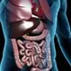 Digestive Disorders: Common Misconceptions