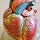 Heart Anatomy: Diagram, Blood Flow and Functions